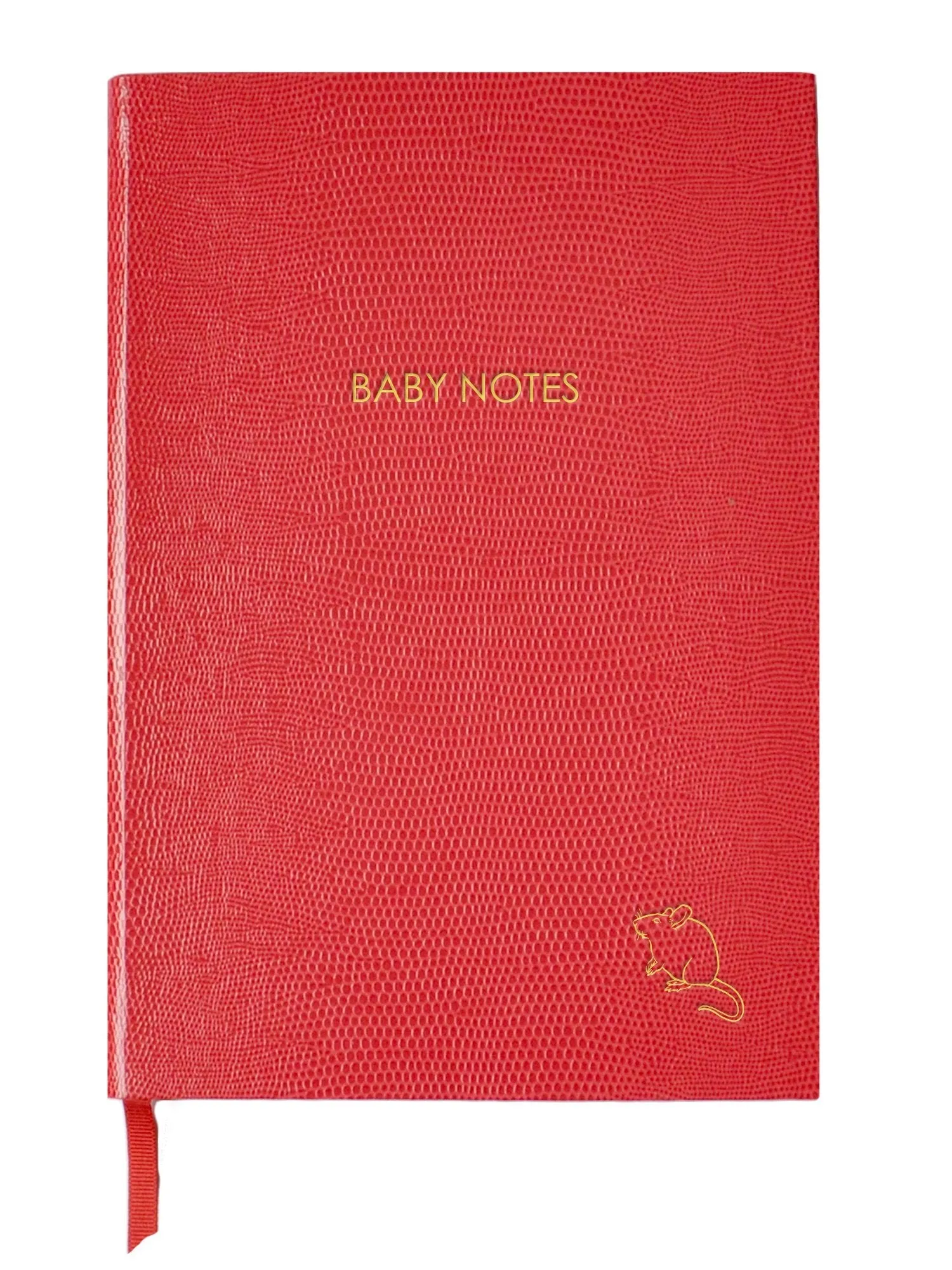 A5 Notebook - Baby Notes