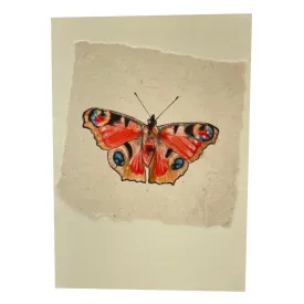 Card with peacock butterfly