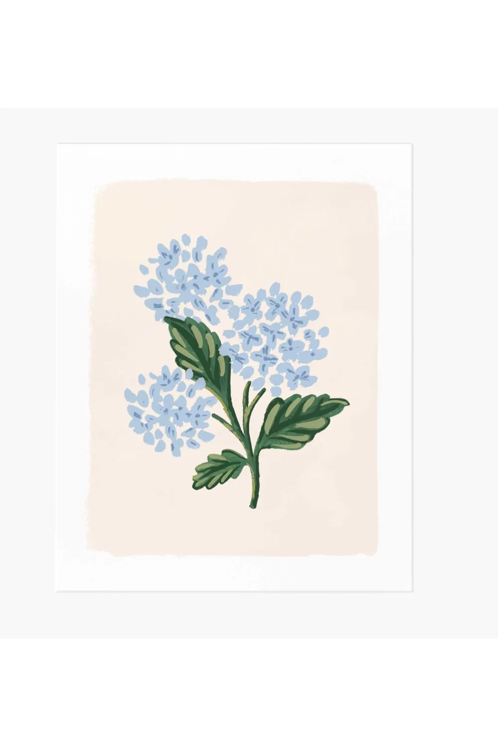 Hydrangea Bloom Card