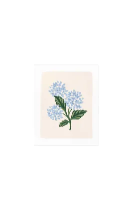 Hydrangea Bloom Card